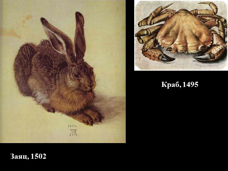 Заяц, 1502 Краб, 1495